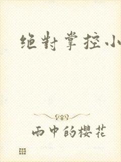 绝对掌控小说