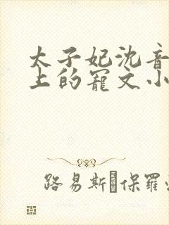 太子妃沈音和皇上的宠文小说