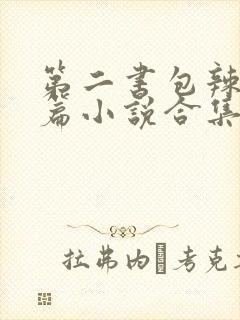 第二书包辣网短篇小说合集