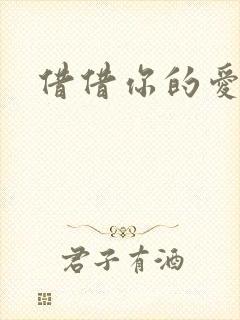 借借你的爱封面