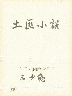 土匪小说
