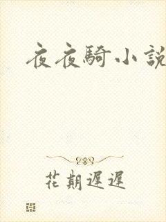 夜夜骑小说