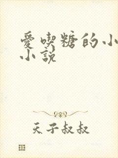 爱吃糖的小麻雀小说封面
