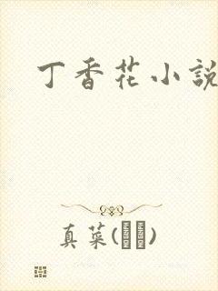 丁香花小说