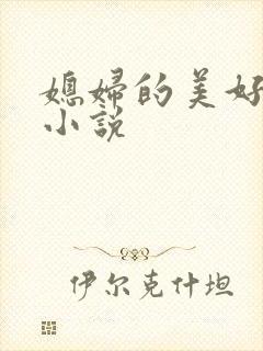 媳妇的美好时代小说