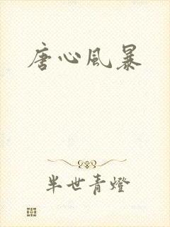 唐心风暴
