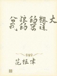 公狼的粗大挺进我的密道