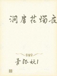 洞房花烛夜小说