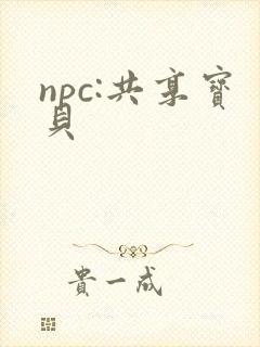 npc:共享宝贝