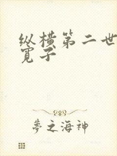 纵横第二世界 宽子
