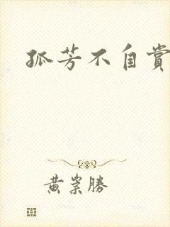 孤芳不自赏小说