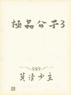 极品公子3