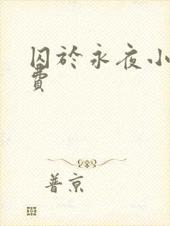 囚于永夜小说免费