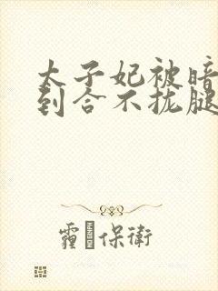 太子妃被暗卫C到合不拢腿