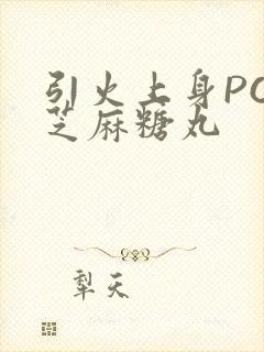 引火上身POP芝麻糖丸