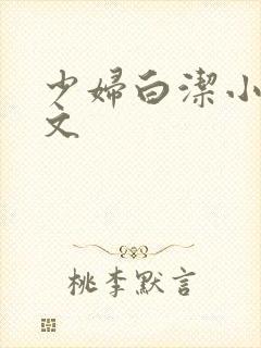 少妇白洁小说全文