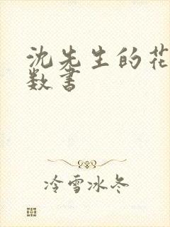 沈先生的花式调数书