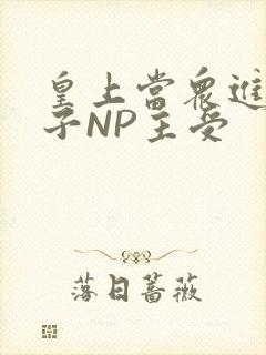 皇上当众进入太子NP主受