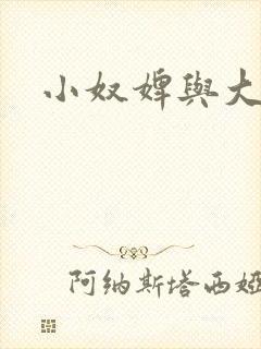 小奴婢与大少爷