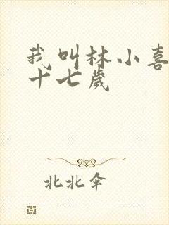 我叫林小喜今年十七岁