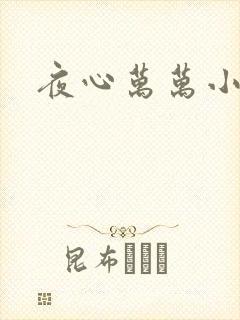 夜心万万小说