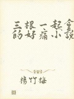 三根一起会坏掉的好痛小说