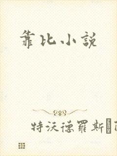 靠比小说