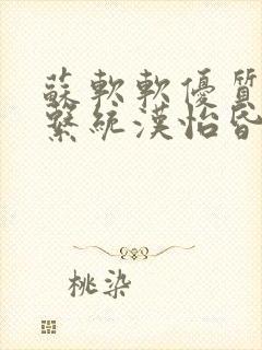 苏软软优质灌溉系统汉怡昏