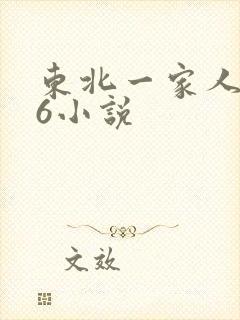 东北一家人1一6小说