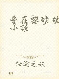 爱在黎明破晓前小说封面