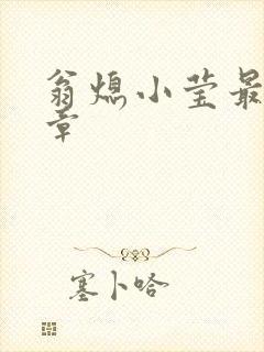 翁熄小莹最新节章