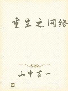 重生之网络大亨