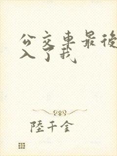 公交车最后一排入了我