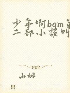 少年啊bgm第二部小说叫什么