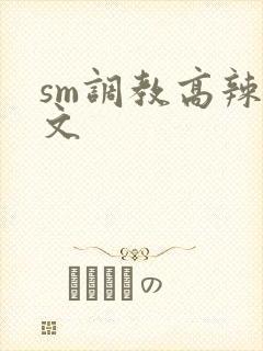 sm调教高辣h文