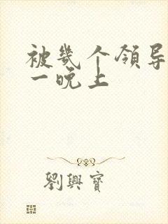 被几个领导玩弄一晚上