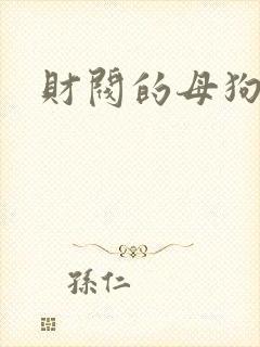 财阀的母狗们