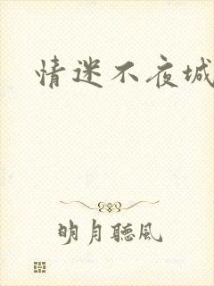 情迷不夜城
