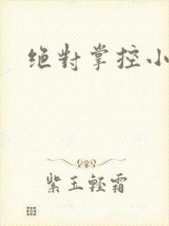 绝对掌控小说