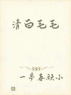 清白毛毛