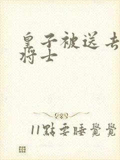 皇子被送去犒劳将士