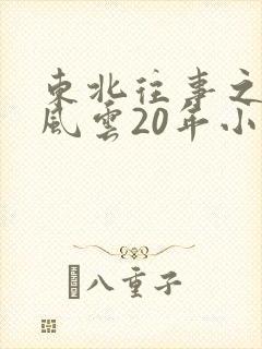 东北往事之黑道风云20年小说