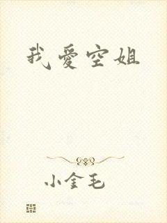 我爱空姐