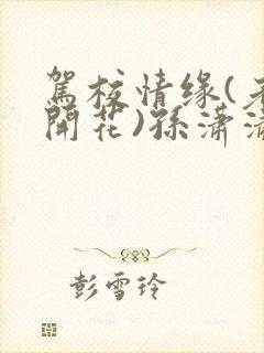 驾校情缘(老树开花)孙潇潇笔趣阁