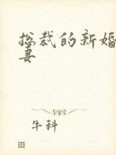 总裁的新婚下堂妻