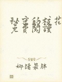 秘密的校花小说免费阅读