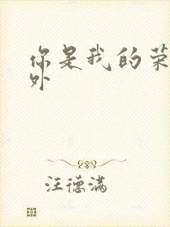 你是我的荣耀番外