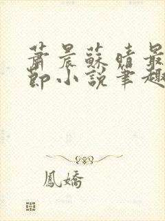 萧晨苏晴最新章节小说笔趣阁