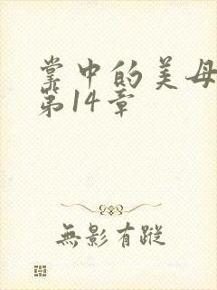 掌中的美母版主第14章