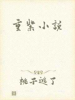 重紫小说